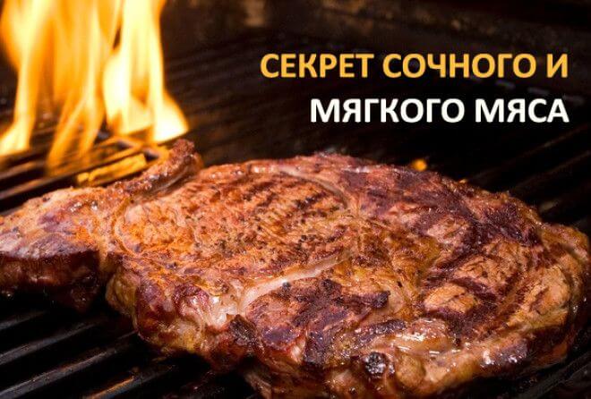 что дает лимон мясу. Смотреть фото что дает лимон мясу. Смотреть картинку что дает лимон мясу. Картинка про что дает лимон мясу. Фото что дает лимон мясу