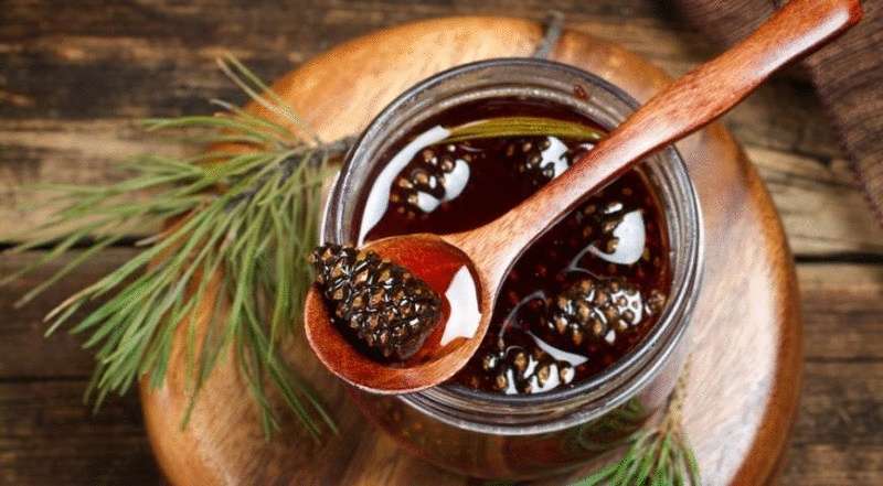 Чудесные бальзамы из сосновых шишек — Лайм