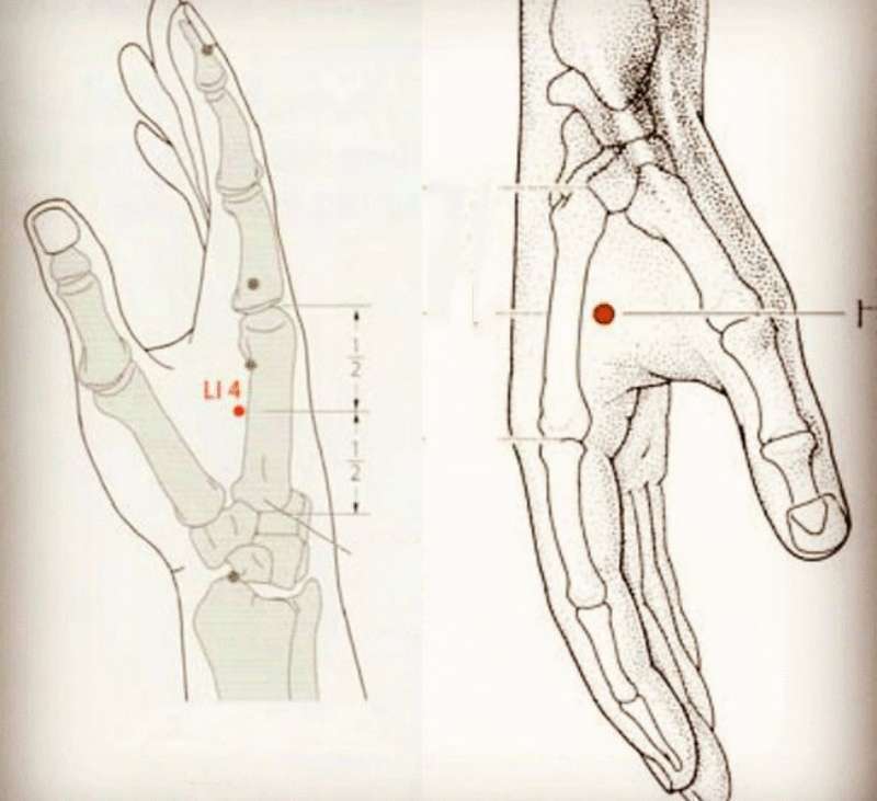 Точка управления. Точечный массаж (точки Жень-Чжун, Чэн-Цзян, Хэ ГУ).. Акупрессурные точки. Точки акупрессуры на руке. Цигун точки на ладони.